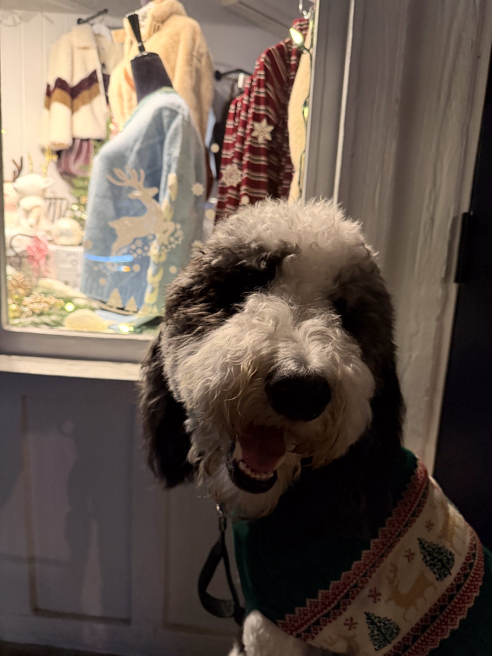 Patrick smiles at the camera while wearing a cream-and-green holiday sweater.